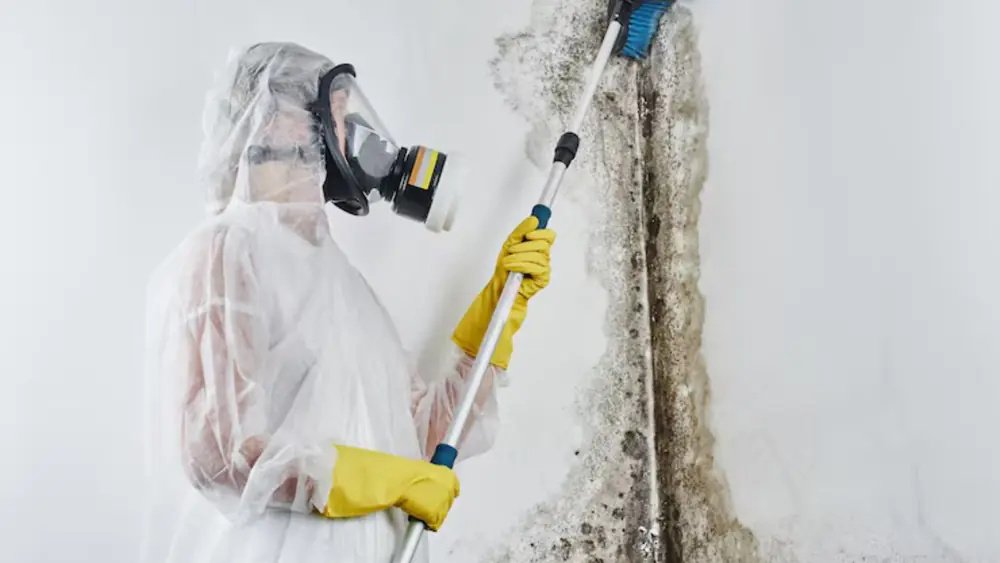 Worker in a respirator using a pole sprayer on a wall corner