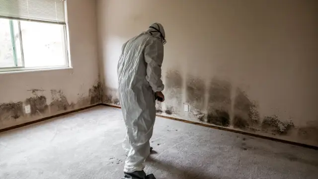 Inspector in a protective suit checking mold along the base of a wall in an empty room