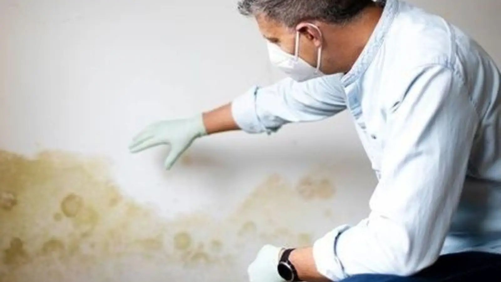 Person in a mask and gloves checking a water-stained wall