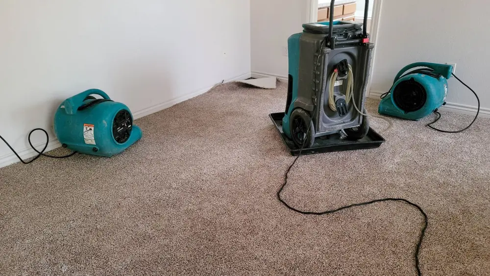 Air movers and a dehumidifier set up on carpet
